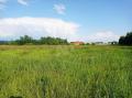 Продажа земельного участка в Раменском на Новорязанском шоссе ,1.4 га,фото-4